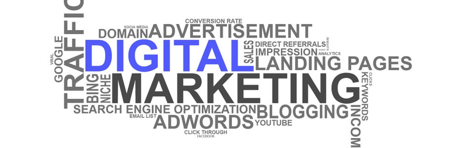 Digital SEO Pros Cover Image