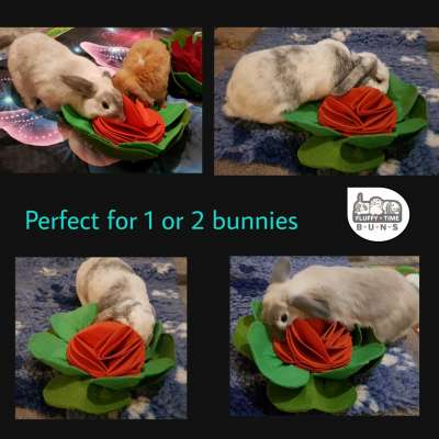 Red rose s Profile Picture